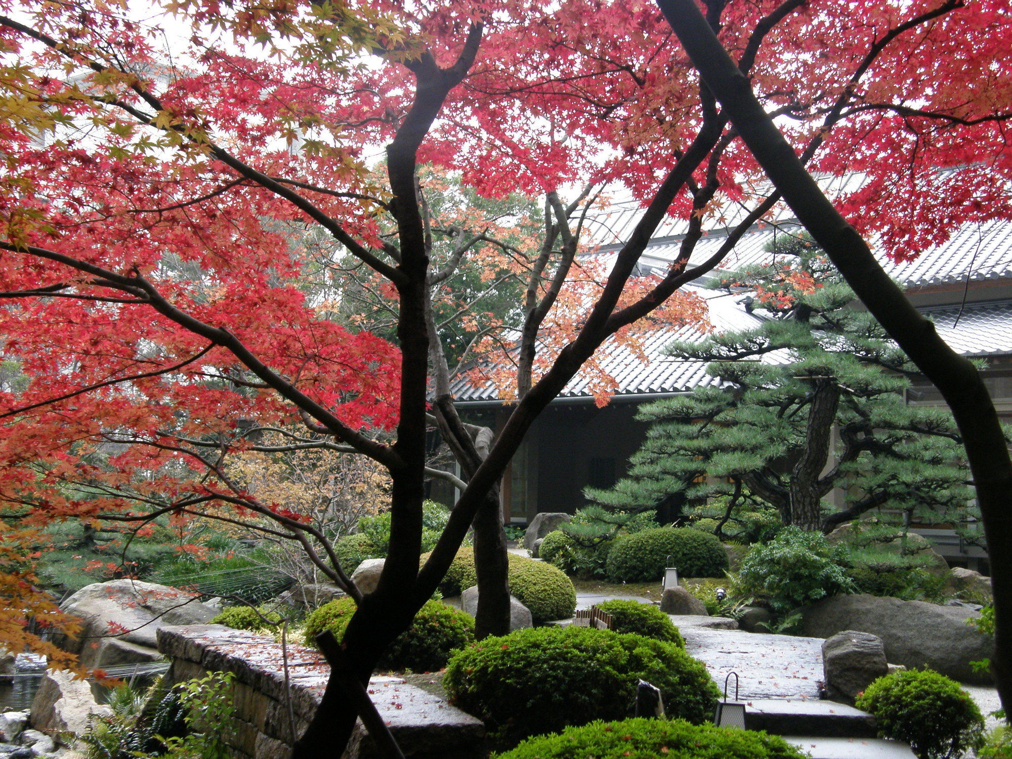 Imabari Kokusai Hotel Ehime Bagian luar foto